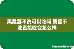 黑桑葚不洗可以吃吗 桑葚不洗直接吃会怎么样