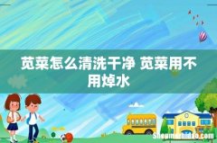 苋菜怎么清洗干净 苋菜用不用焯水