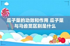 瓜子菜的功效和作用 瓜子菜与马齿苋区别是什么