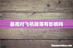 暴雨对飞机降落有影响吗