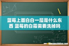 蓝莓上面白白一层是什么东西 蓝莓的白霜需要洗掉吗