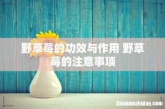 野草莓的功效与作用 野草莓的注意事项