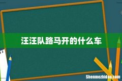 汪汪队路马开的什么车