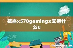 技嘉x570gamingx支持什么u