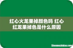 红心火龙果掉颜色吗 红心红龙果掉色是什么原因