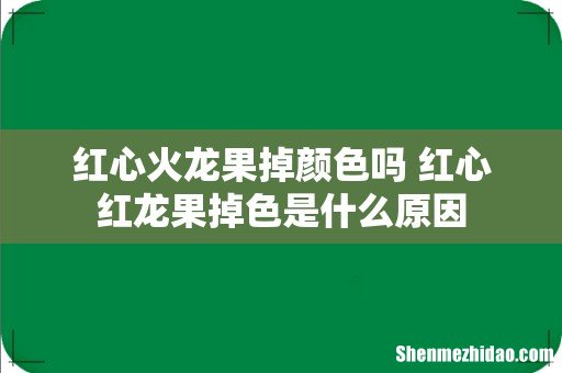 红心火龙果掉颜色吗 红心红龙果掉色是什么原因