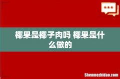 椰果是椰子肉吗 椰果是什么做的
