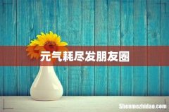 元气耗尽发朋友圈