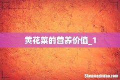 黄花菜的营养价值_1