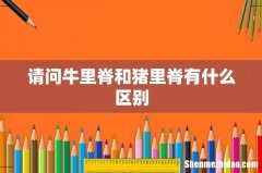 请问牛里脊和猪里脊有什么区别