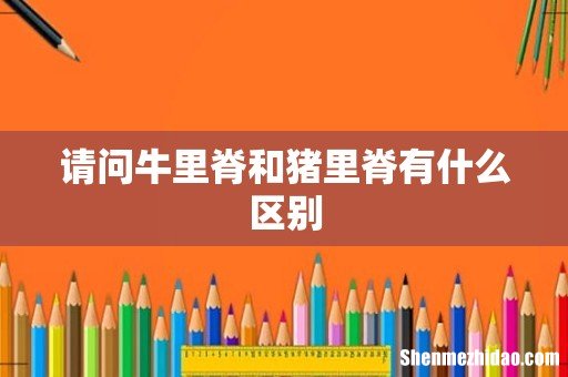 请问牛里脊和猪里脊有什么区别