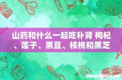 山药和什么一起吃补肾 枸杞、莲子、黑豆、核桃和黑芝麻