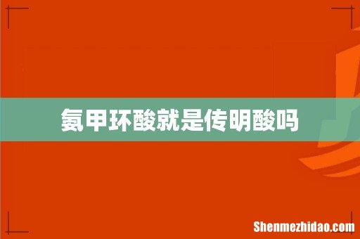 氨甲环酸就是传明酸吗