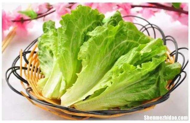 花叶 生菜怎么做 花叶生菜的功效与作用