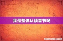我是整体认读音节吗