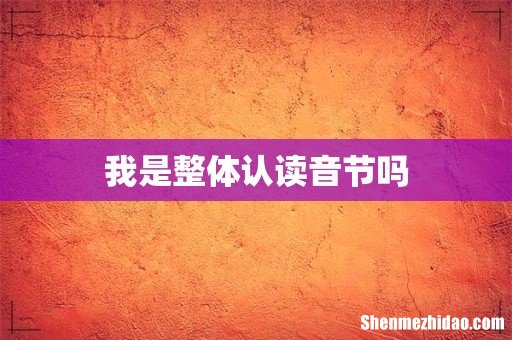 我是整体认读音节吗