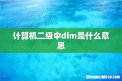 计算机二级中dim是什么意思