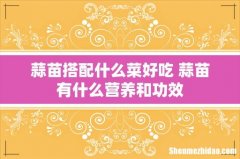 蒜苗搭配什么菜好吃 蒜苗有什么营养和功效
