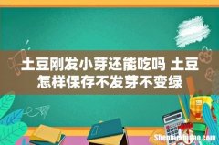 土豆刚发小芽还能吃吗 土豆怎样保存不发芽不变绿