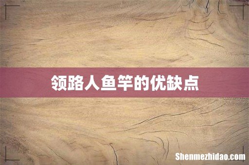 领路人鱼竿的优缺点