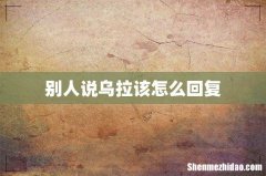 别人说乌拉该怎么回复