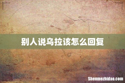 别人说乌拉该怎么回复