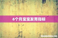 6个月宝宝发育指标