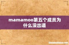 mamamoo第五个成员为什么没出道