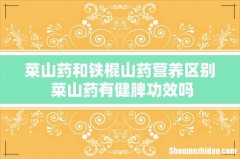 菜山药和铁棍山药营养区别 菜山药有健脾功效吗