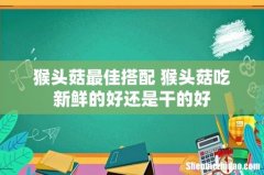 猴头菇最佳搭配 猴头菇吃新鲜的好还是干的好