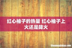 红心柚子的热量 红心柚子上火还是降火