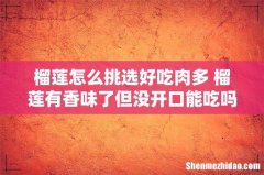 榴莲怎么挑选好吃肉多 榴莲有香味了但没开口能吃吗