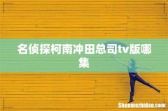 名侦探柯南冲田总司tv版哪集
