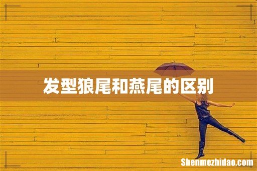 发型狼尾和燕尾的区别