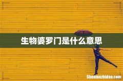 生物婆罗门是什么意思