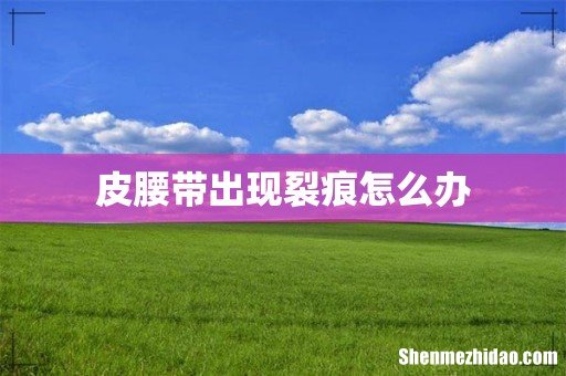 皮腰带出现裂痕怎么办