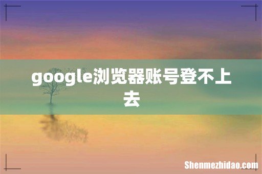 google浏览器账号登不上去