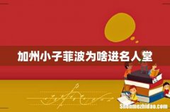 加州小子菲波为啥进名人堂