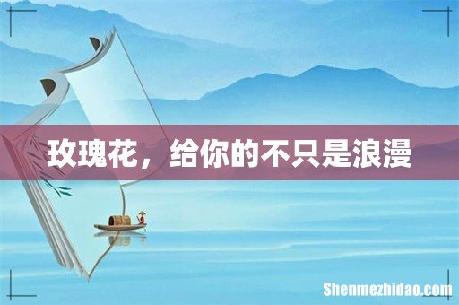 玫瑰花，给你的不只是浪漫