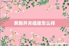奔跑开关插座怎么样