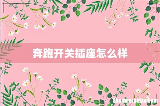 奔跑开关插座怎么样