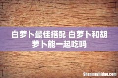 白萝卜最佳搭配 白萝卜和胡萝卜能一起吃吗