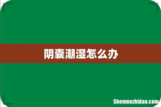 阴囊潮湿怎么办