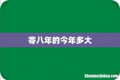 零八年的今年多大