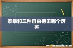 泰拳和三种自由搏击哪个厉害
