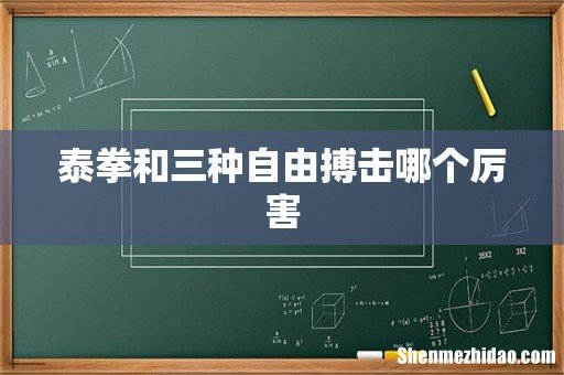 泰拳和三种自由搏击哪个厉害