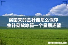 买回来的金针菇怎么保存 金针菇放冰箱一个星期还能吃吗