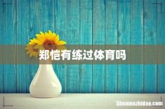 郑恺有练过体育吗