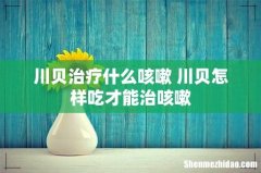 川贝治疗什么咳嗽 川贝怎样吃才能治咳嗽