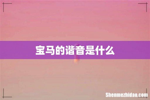 宝马的谐音是什么
